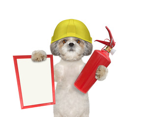 Cute firefighter dog is ready to work - 116854410