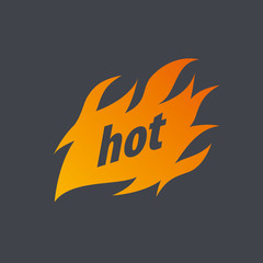 fire vector logo