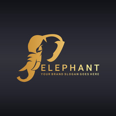 Elephant logo. Logo template suitable for businesses and product names. Easy to edit, change size, color and text. - 116855685