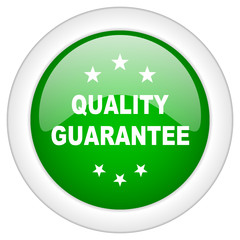 Glossy web vector icon