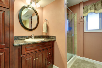 House interior. Bathroom with shower and cabinet with mirror.
