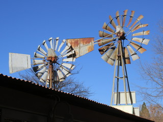 Multi-bladed wind-pumps in Clarens