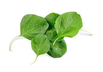 spinach fresh isolated on white
