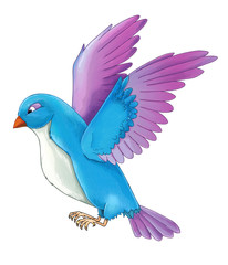 Cartoon exotic colorful bird - flying - isolated - illustration for children