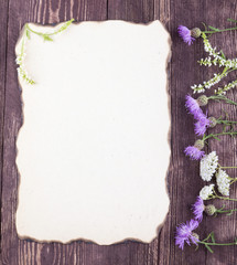 Wild flowers on old paper with burnt edges. Overhead view. card with flowers
