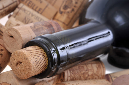 Bouteille de vin pos&eacute;e sur des bouchons en li&egrave;ge