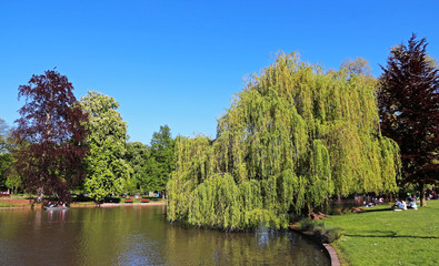 Jardin de l'Orangerie - Strasbourg -France