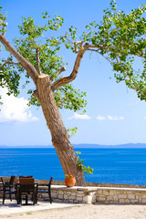 Fototapeta na wymiar Tavern view by the sea with tree on the high grounds of Corfu old fortress, Corfu Town, Greece