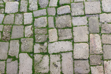 Stone Sett with a Young Grass in the Seams. Seamless Tileable Texture