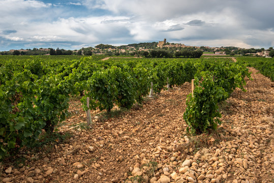 Chateauneuf Du Pape - one of the best wine appellation in France