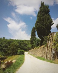toscana