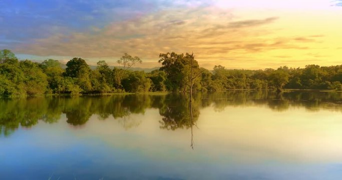 Peaceful scene of trees reflect in lake at sunset in Yala park in Sri Lanka