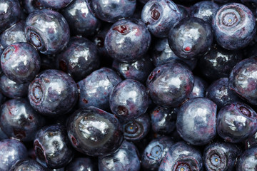 Ripe blueberries as background