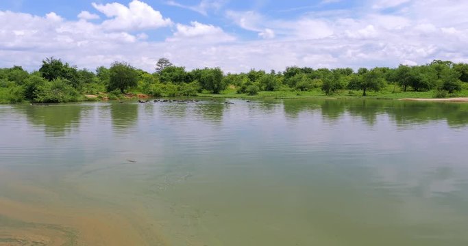 Preserved natural environment of national park of Sri Lanka. Yala wetlands view