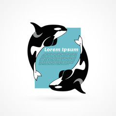 Fototapeta premium orca whale template sample poster frame on white background