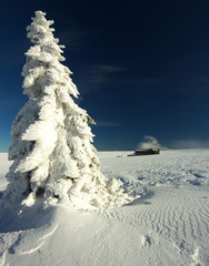 Winter Landscape, Giant Mountains, Czech Republic