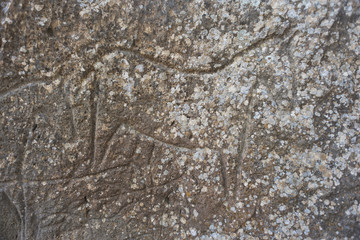 Detail of a stone wall in  cave with ancient rock art petroglyphs in Gobustan National Park. Prehistorical petroglyph in Qobustan.
