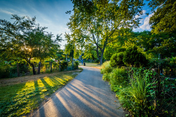 Walkway and trees at Back Bay Fens, in Boston, Massachusetts.