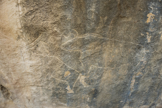 Detail of a stone wall in  cave with ancient rock art petroglyphs in Gobustan National Park. Prehistorical petroglyph in Qobustan.