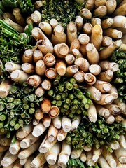 fresh green lemongrass