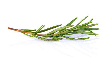 Fototapeta premium rosemary isolated on white background