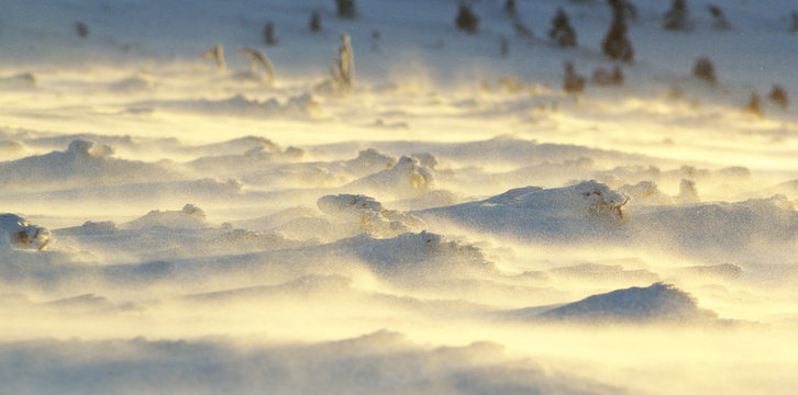 Snowdrifts with Churning Snow Enlightened by the Sun