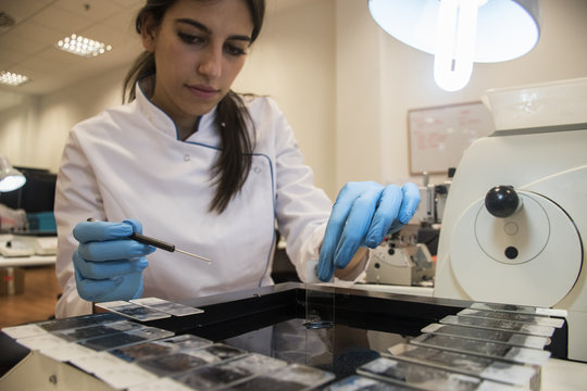 Laboratory technician in analytical laboratory preparing object plates in paraffin bath
