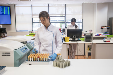 Laboratory technician in analytical laboratory taking test tubes from a centrifuge container