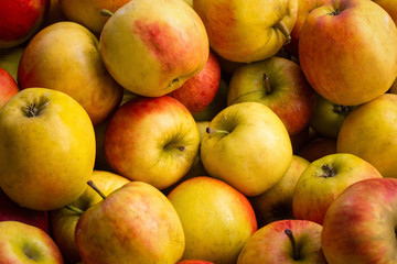 many apples - apple background