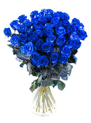Naklejka premium bukiet niebieskich róż izolować