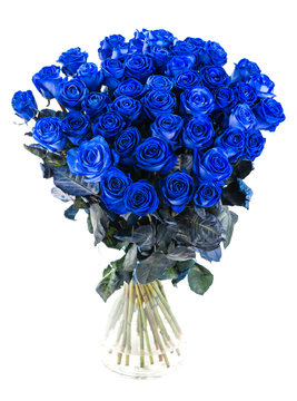 Bouquet Of Blue Roses Isolate