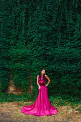 Fototapeta premium beautiful girl in a dress