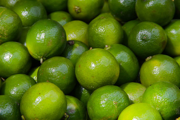 Zitrusfrucht Limetten