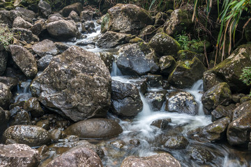 Naklejka na ściany i meble Rivière Petite rivière à Salazie, île de la Réunion.