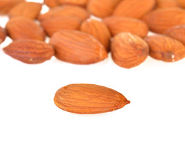 almond seed on white background