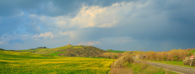 Rolling Hills of Green Grass,Tuscany, Italy
