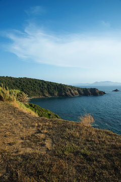 Calamoresca - Piombino
