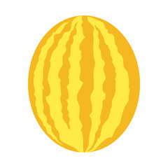 Melon Vector Illustration In Flat Style Design.  