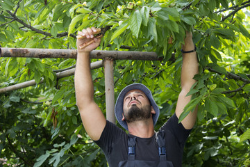 man garden cutting