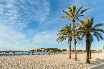 Beach with palm trees
