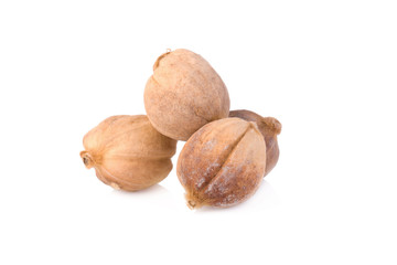Cardamom isolated on white