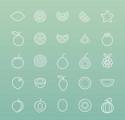 Set of Quality Isolated Universal Standard Minimal Simple Fruit White Thin Line Icons on Color Background.