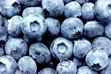 Blueberries background