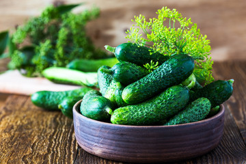 Fresh organic cucumber in ceramic bowl