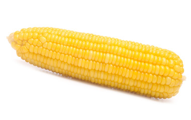 Boiled corn on white