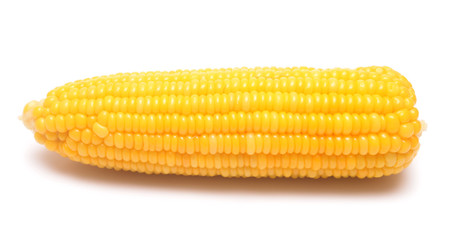 Boiled corn on white