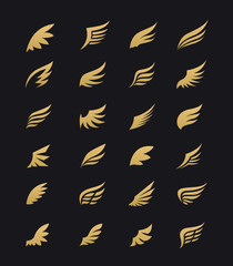 Fototapeta premium Wings. Vector Set of wing design elements. Vector illustration. Design for logo, tattoo and luxury brand identity