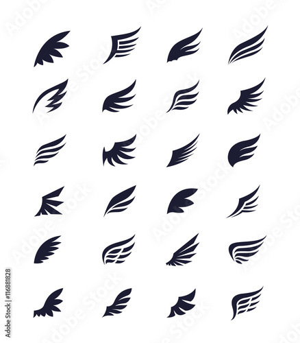 wings vector set of wing design elements vector illustration