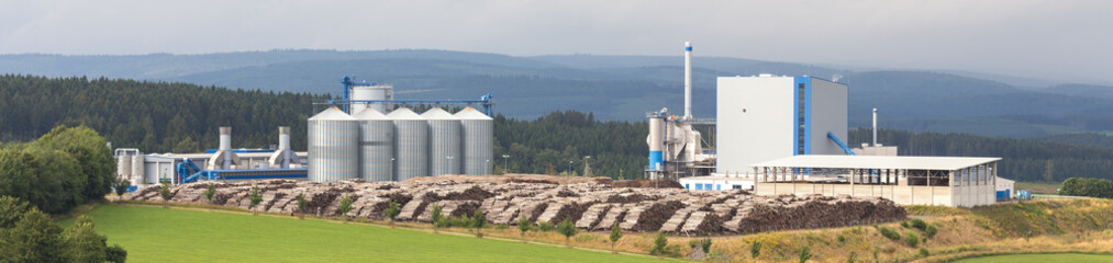 biomass cogeneration plant