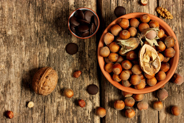 Chocolate and hazelnuts on a wooden background